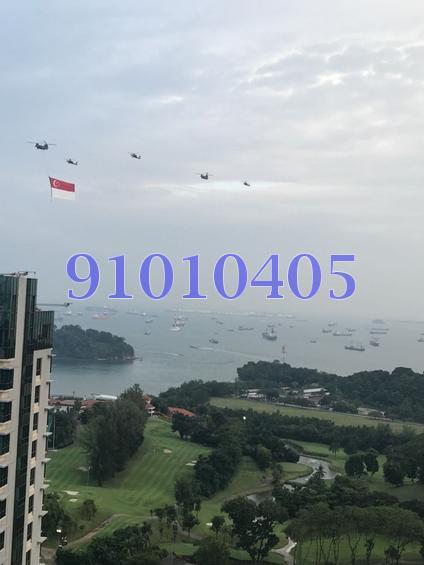 Blk 80C Telok Blangah Street 31 (Bukit Merah), HDB 4 Rooms #157853552